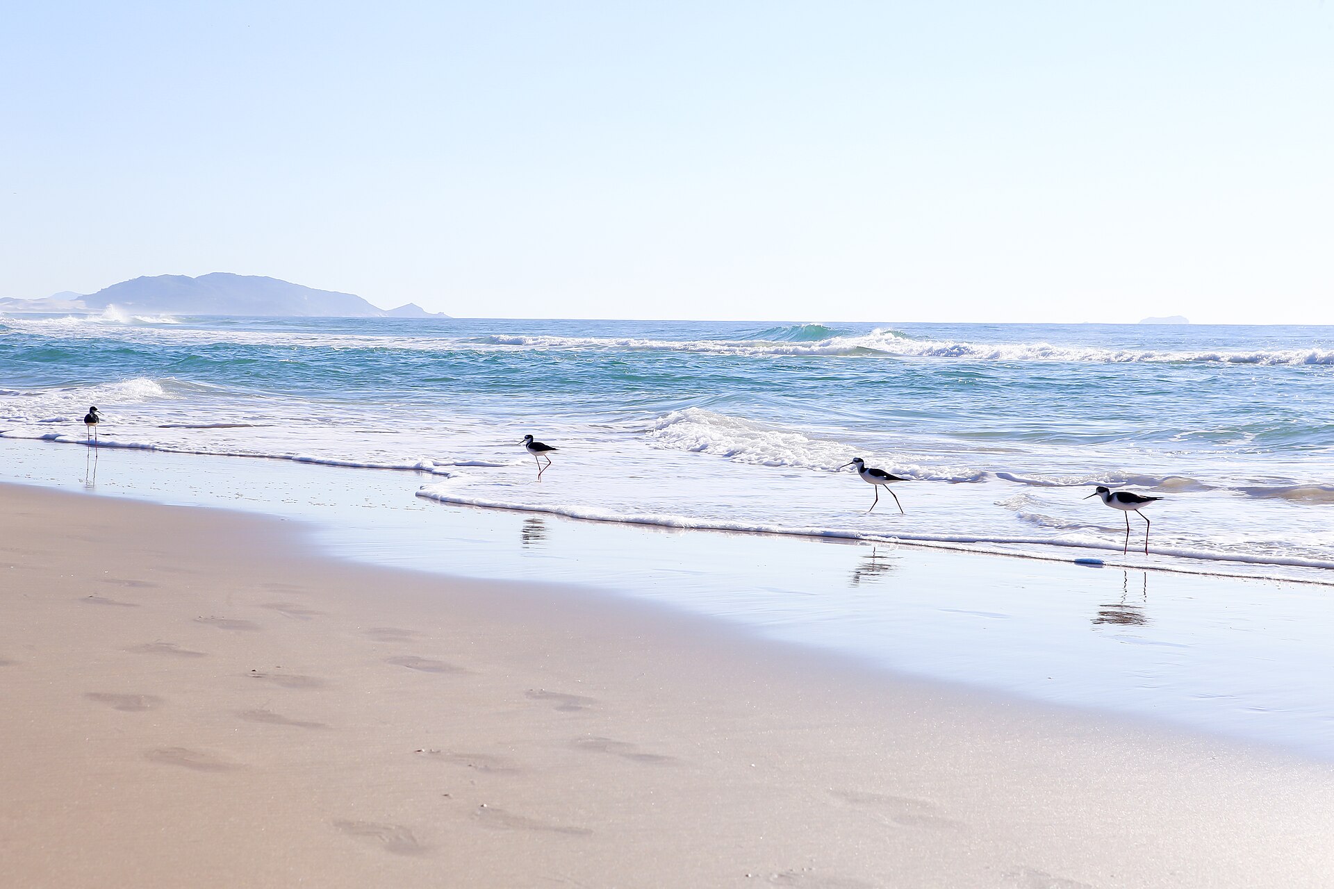 Florianópolis coastline